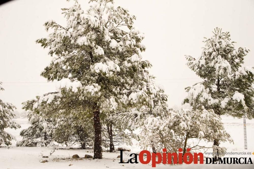 Nieve en las pedanías altas del Noroeste