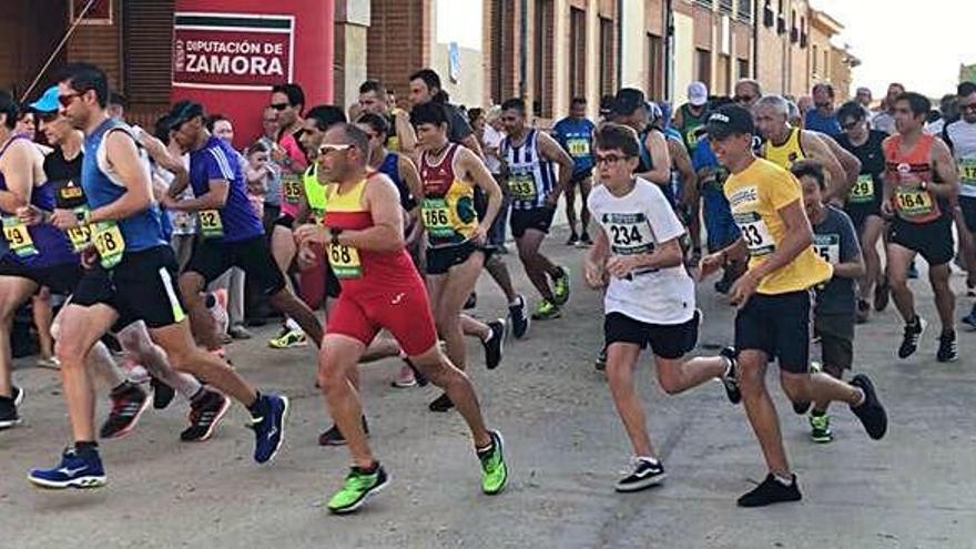 Los atletas toman la salida de la prueba absoluta del Cross de Villafáfila celebrado el pasado sábado.