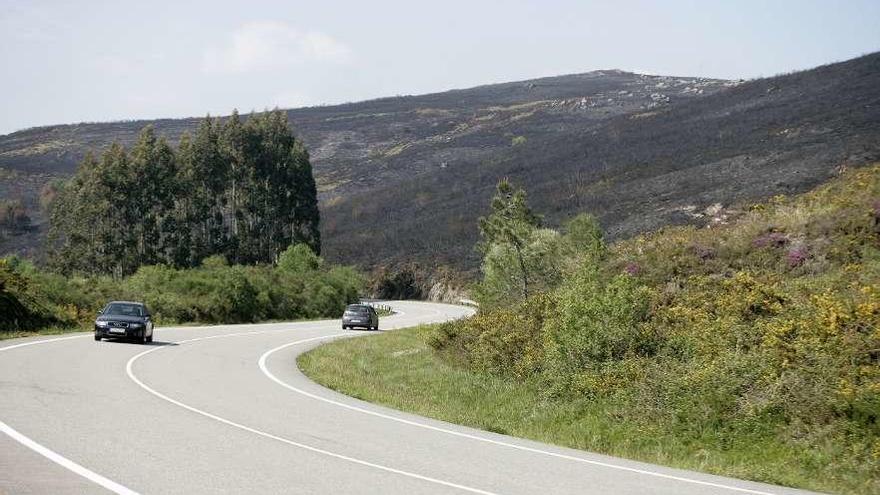 Una vista de parte del monte arrasado este fin de semana por el fuego en Sabucedo. // Bernabé / Cris M.V.