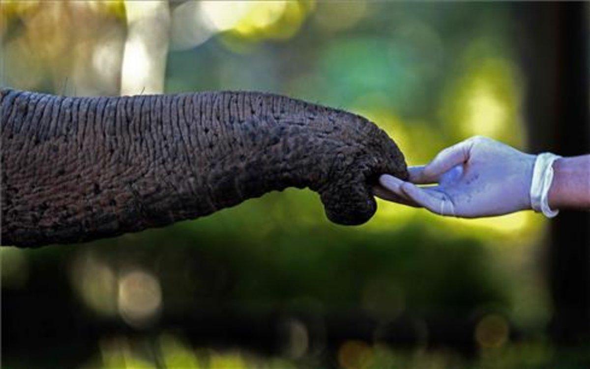getthumbsbyfilename getthumbsbyfilename