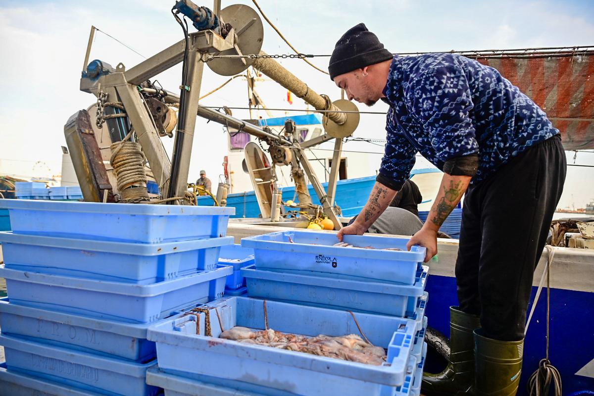 Un marinero descarga el pescado de una embarcación de arrastre de Castelló.