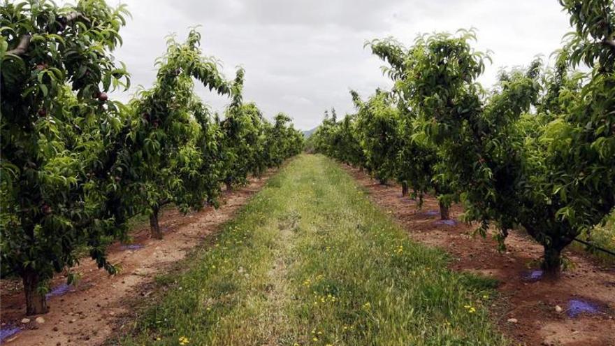 El Plan de Sequía del Guadalquivir reduce la reserva de abastecimiento a 400 hectómetros cúbicos