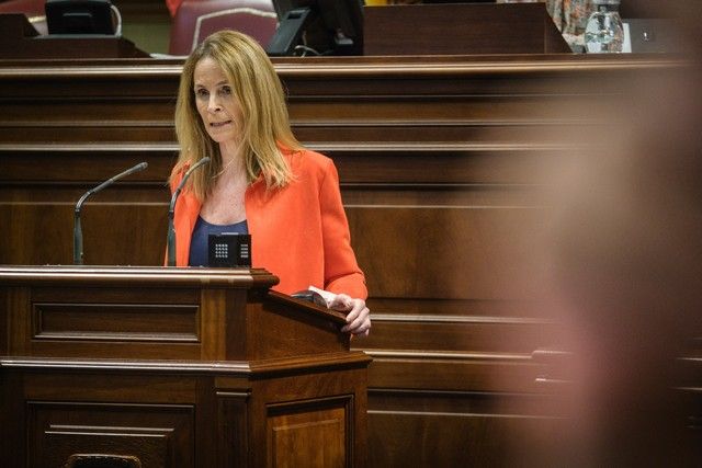 Segunda jornada del pleno en el Parlamento de Canarias, 27/04/2022