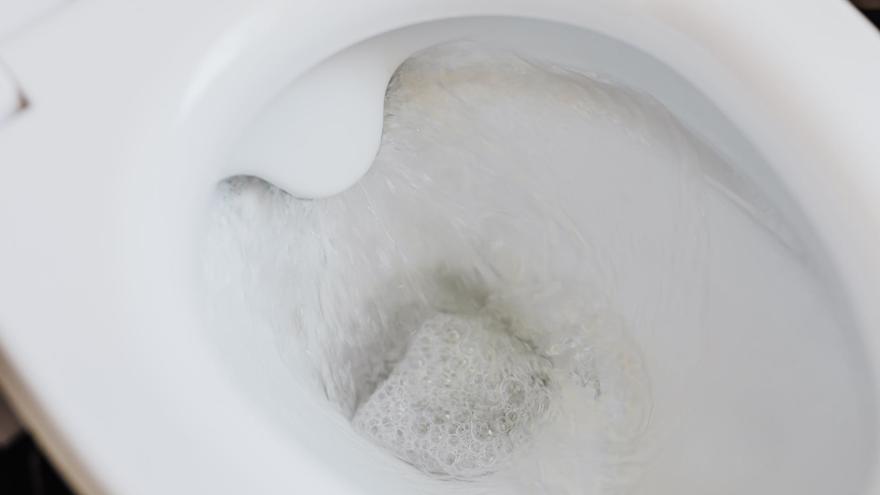 La horrible razón por la que no debes dejar abierta la tapa del inodoro: los expertos en limpieza lo cuentan