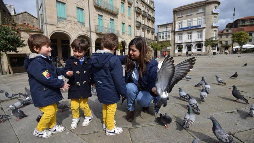 Una familia se divierte con las palomas en la pontevedresa plaza de A Ferrería