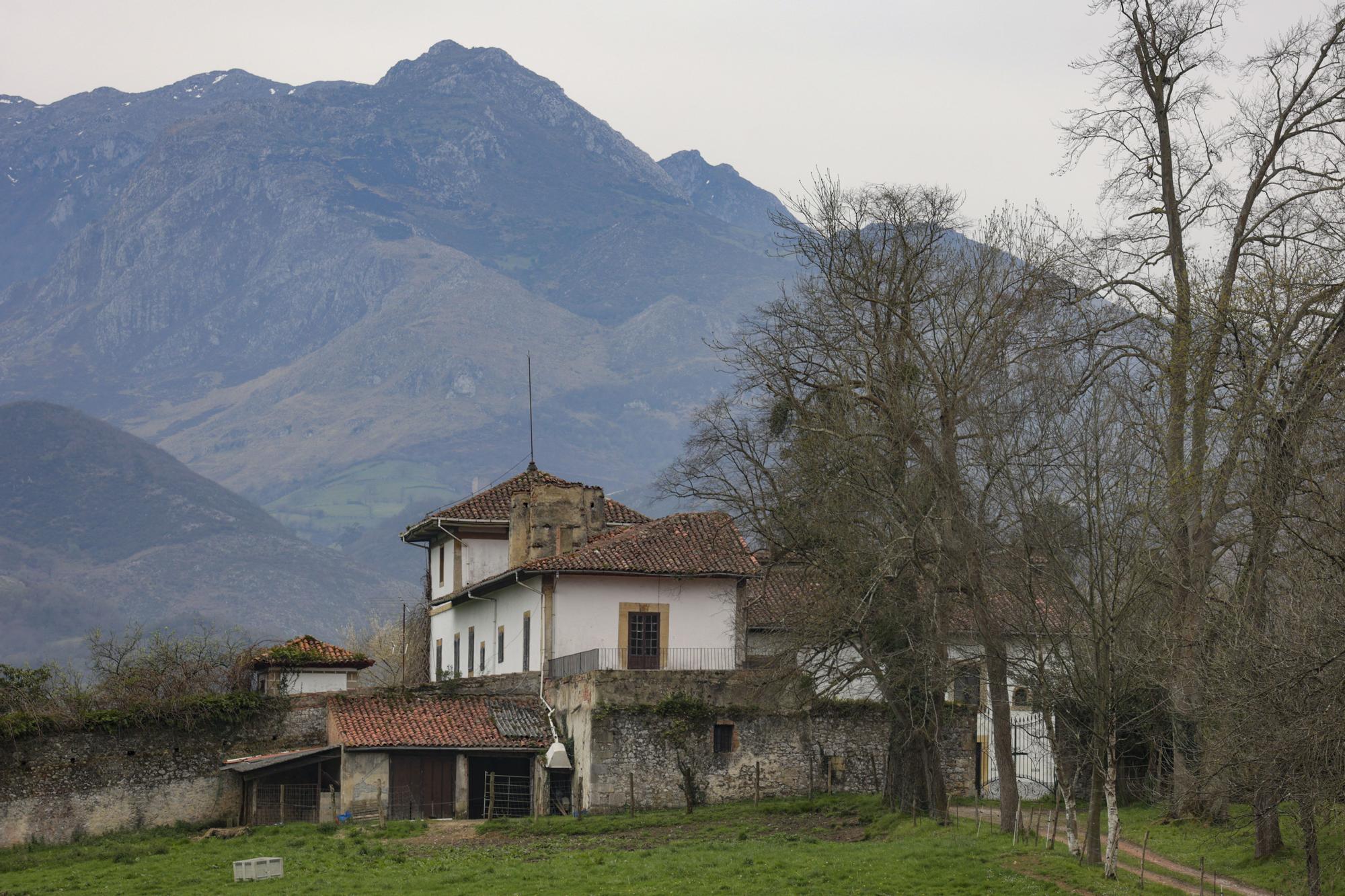 La zona rural de Oviedo: Priorio, cuando en el cine de Las Caldas echaban una de Marisol