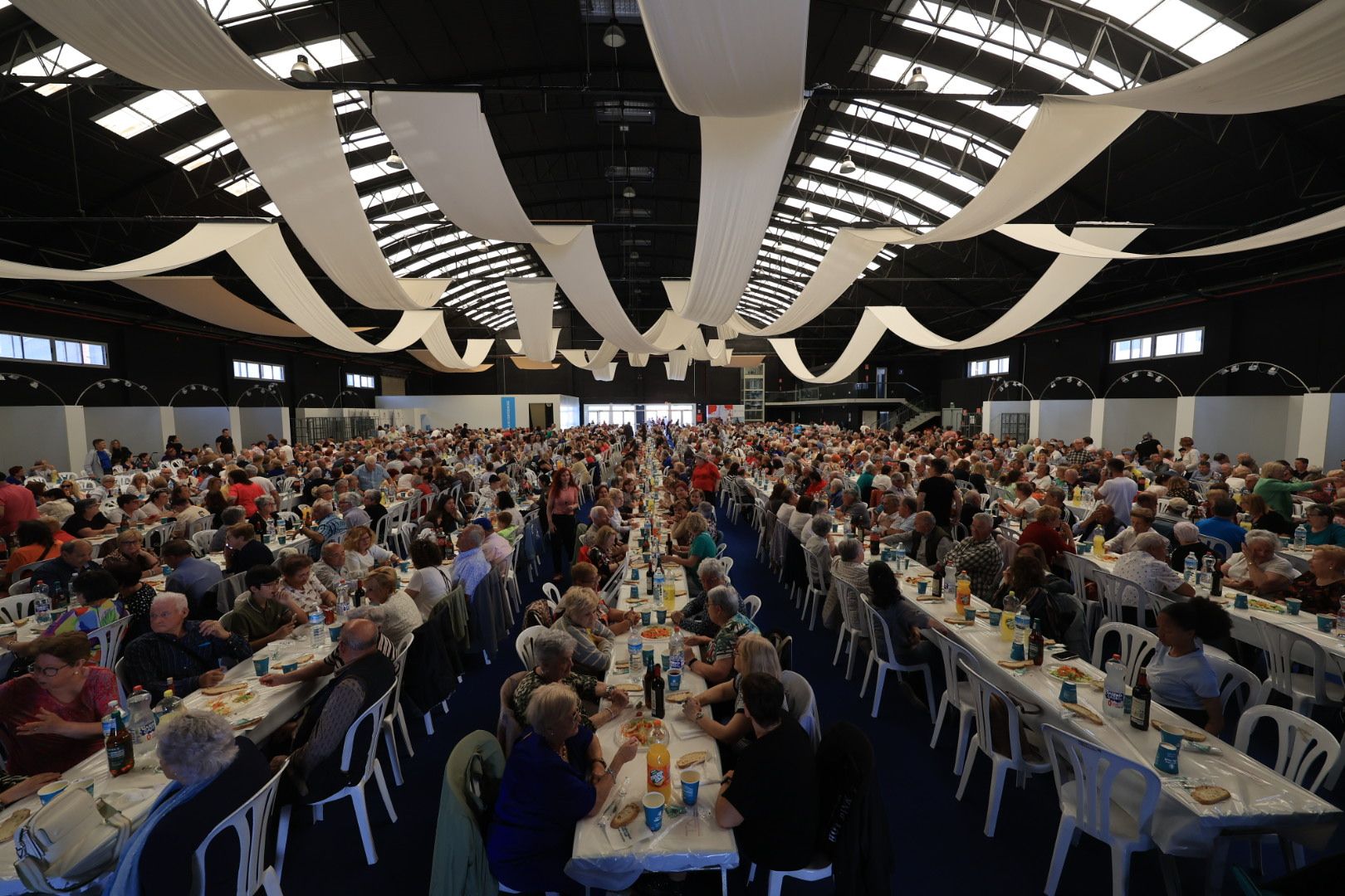 FOTOGALERÍA I Las imágenes de la sexta jornada (miércoles) de las fiestas patronales de Sant Pasqual en Vila-real