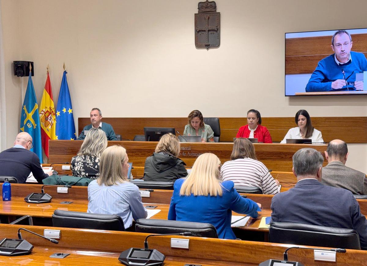 Ovidio Zapico, a la izquierda, durante la comparecencia en la Comisión de Ordenación del Territorio.