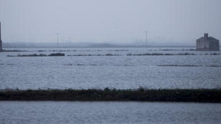 Medio Ambiente prepara medidas cautelares para regular el nivel de l´Albufera