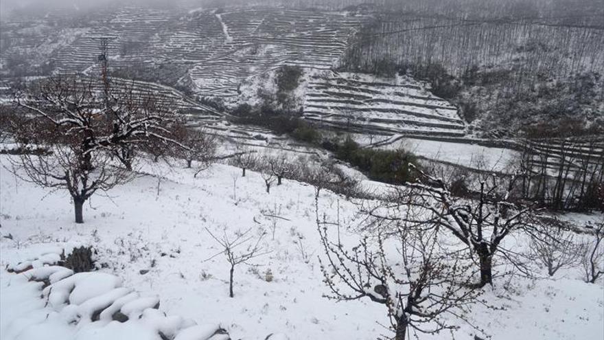 Nieve en vez de flores en Jerte