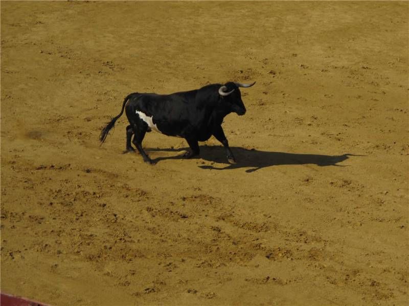 Fiestas del Ángel de Teruel 2015