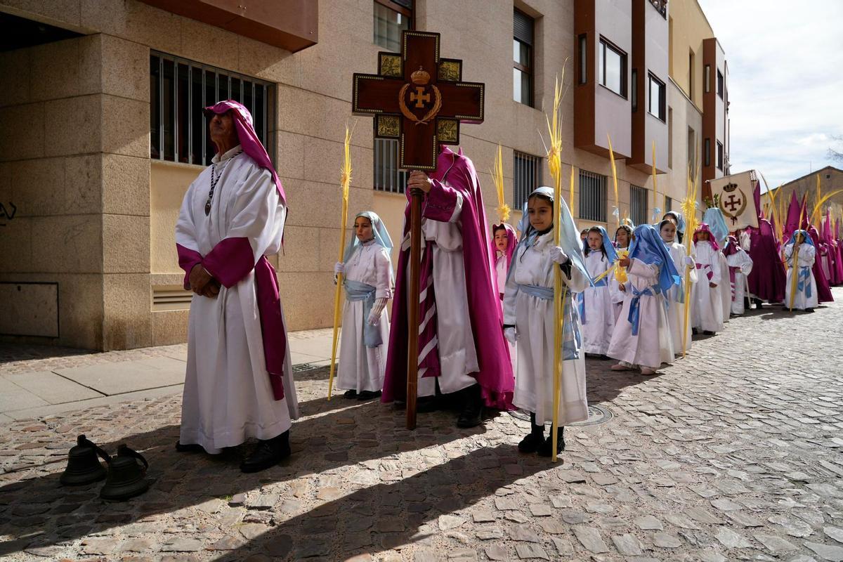 La Procesión de La Borriquita en Zamora, en imágenes La Procesión de La Borriquita en Zamora, en imágenes