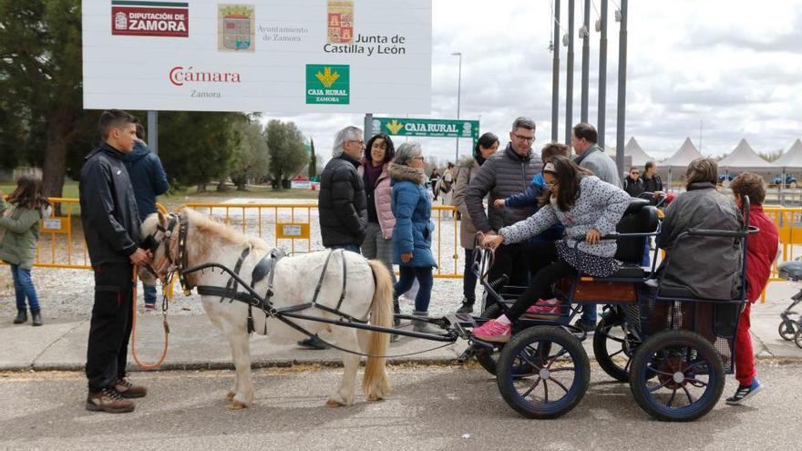 La Feria Raíces supera el objetivo marcado y llega a las 26.000 visitas en esta edición