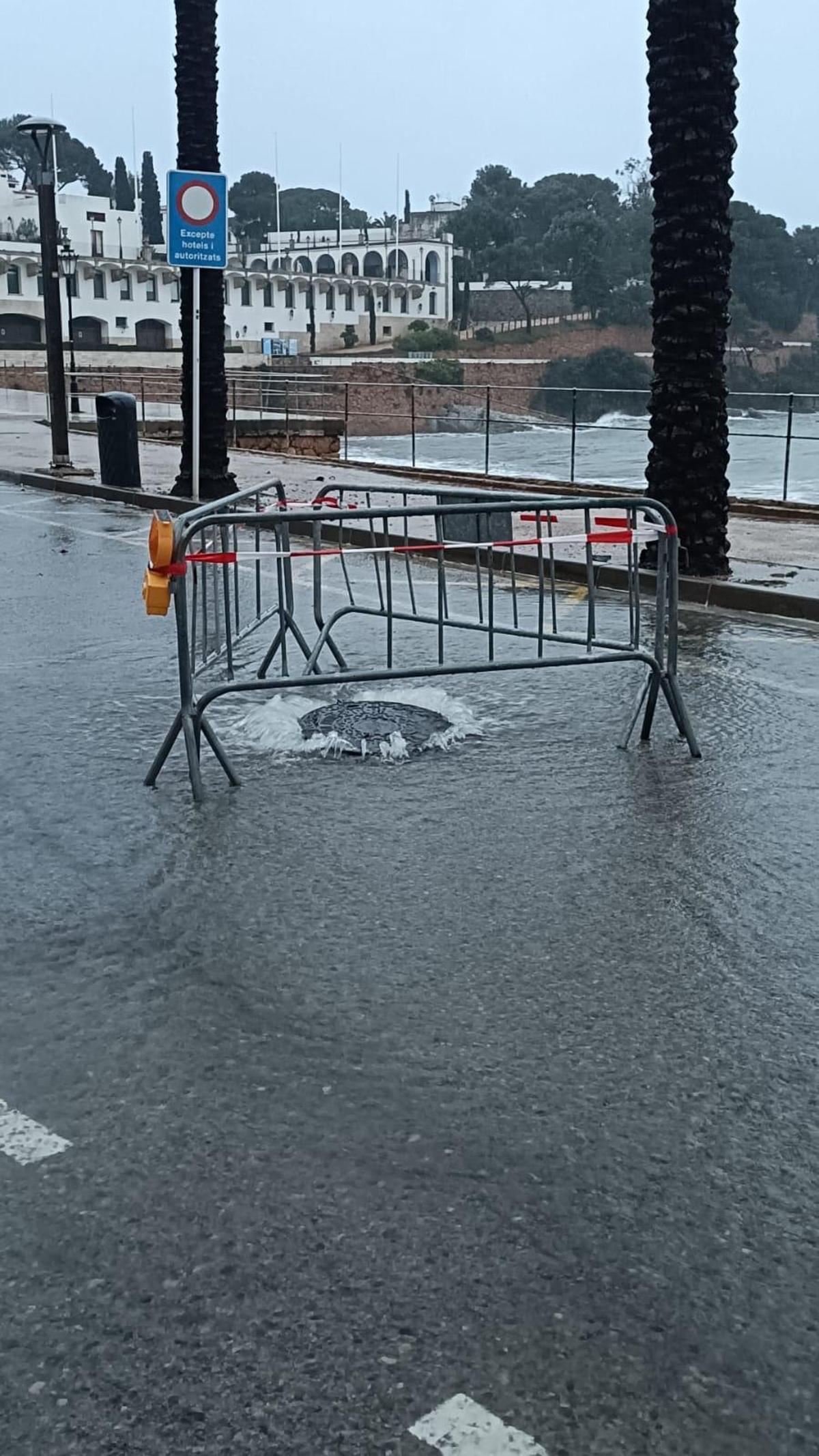 Les fotos dels efectes de la llevantada a les comarques gironines