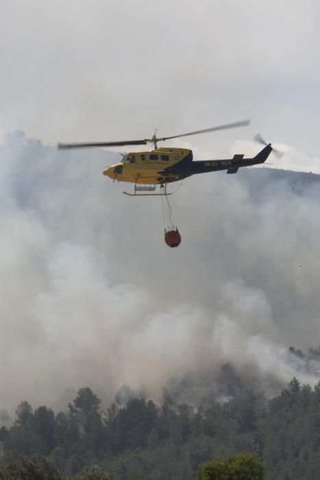 El fuego en los términos de Anna, Chella y Bolbait