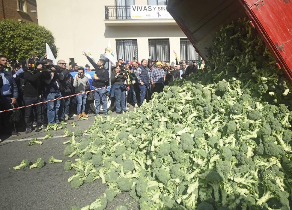 Así ha sido la manifestación de los agricultores en Murcia (II)