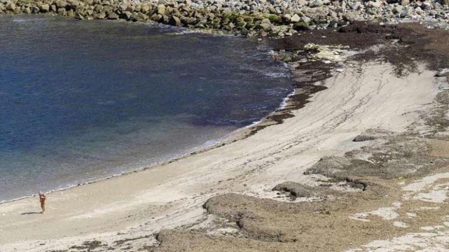 Vista de la playa de Bens, con las algas acumuladas al borde del mar.