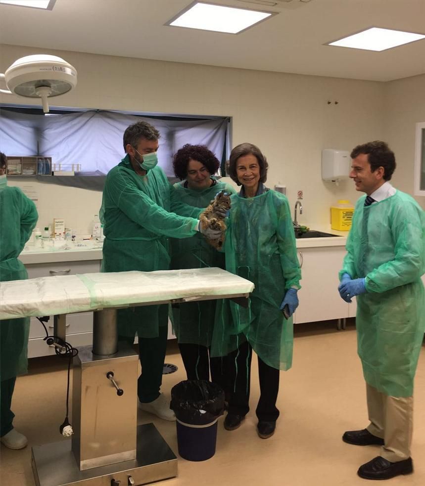 La reina Sofía visita en centro de cría del lince ibérico de Zarza de Granadilla (Cáceres)