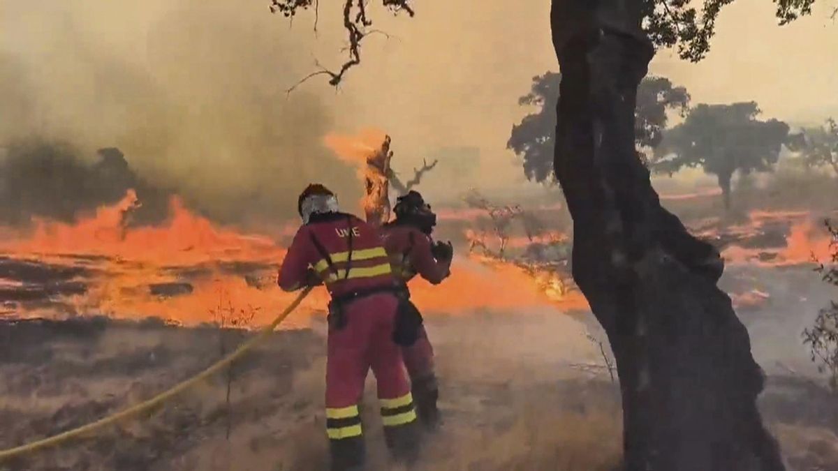 L’onada de focs baixa, però encara hi ha actius 14 incendis de nivell dos L’onada de focs baixa, però encara hi ha actius 14 incendis de nivell dos