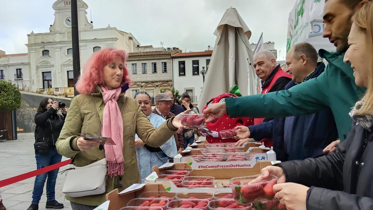 Vídeos | Reparto de fresas en la Plaza de España de Mérida, un acto de UPA-UCE