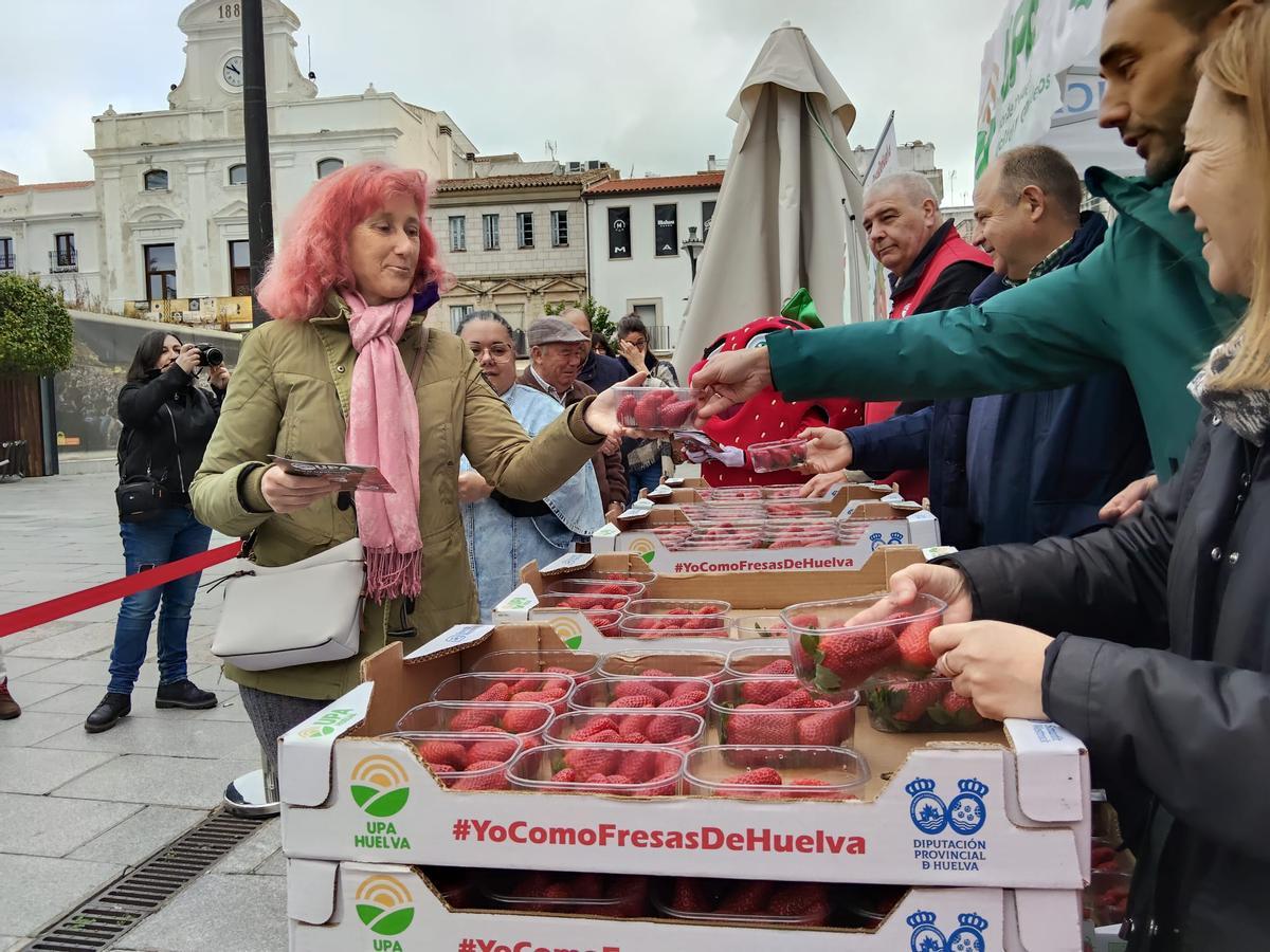 Galería | Reparto de fresas en la Plaza de España de Mérida, un acto de UPA-UCE