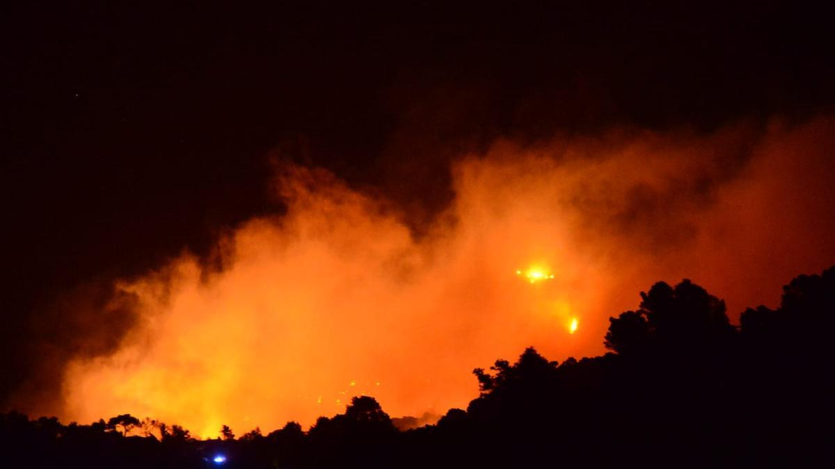 Incendio forestal en Andratx