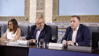 El plan estratégico 2025-2030, debilidades y fortalezas para el futuro de la Universidad de Córdoba