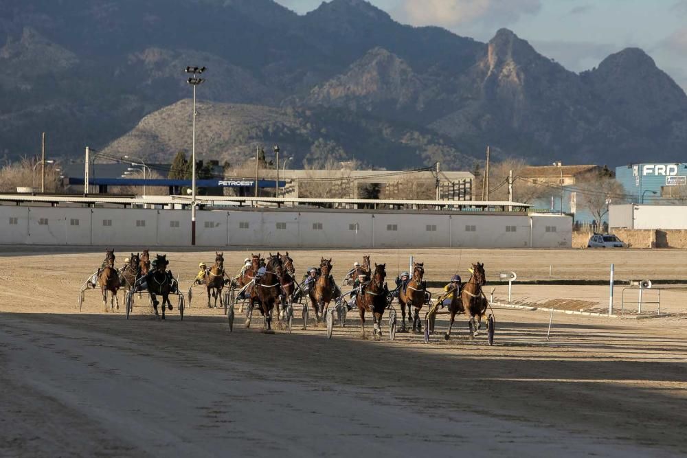 Ambiente en el hipódromo de Son Pardo