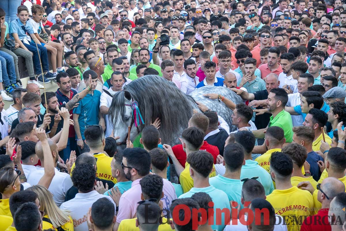 Entrega de premios del concurso morfológico de los Caballos del Vino de Caravaca