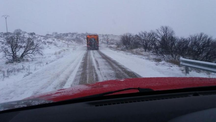 Los bomberos de la DPZ trabajan para limpiar las carreteras afectadas