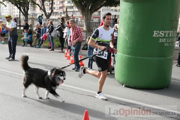 Run for Parkinson Canicross