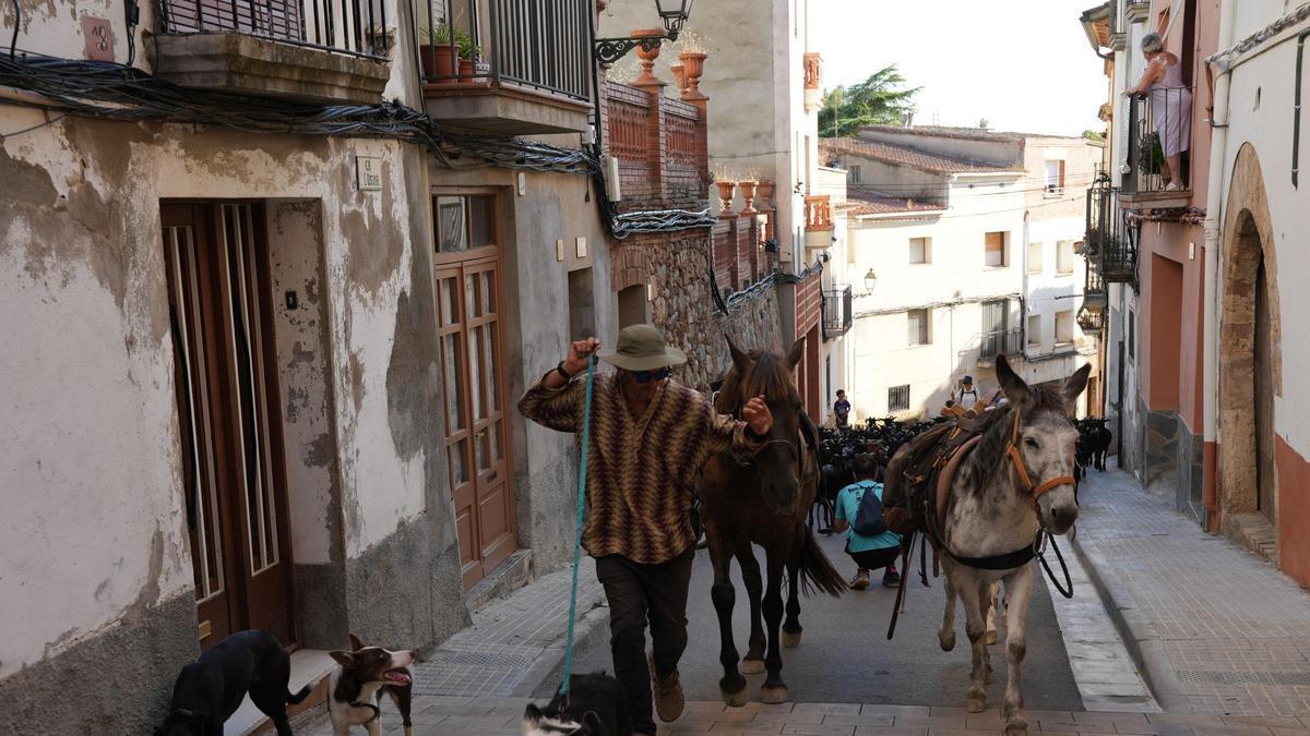 Camins de Vida 2026