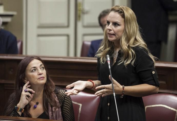 Pleno en el Parlamento de Canarias