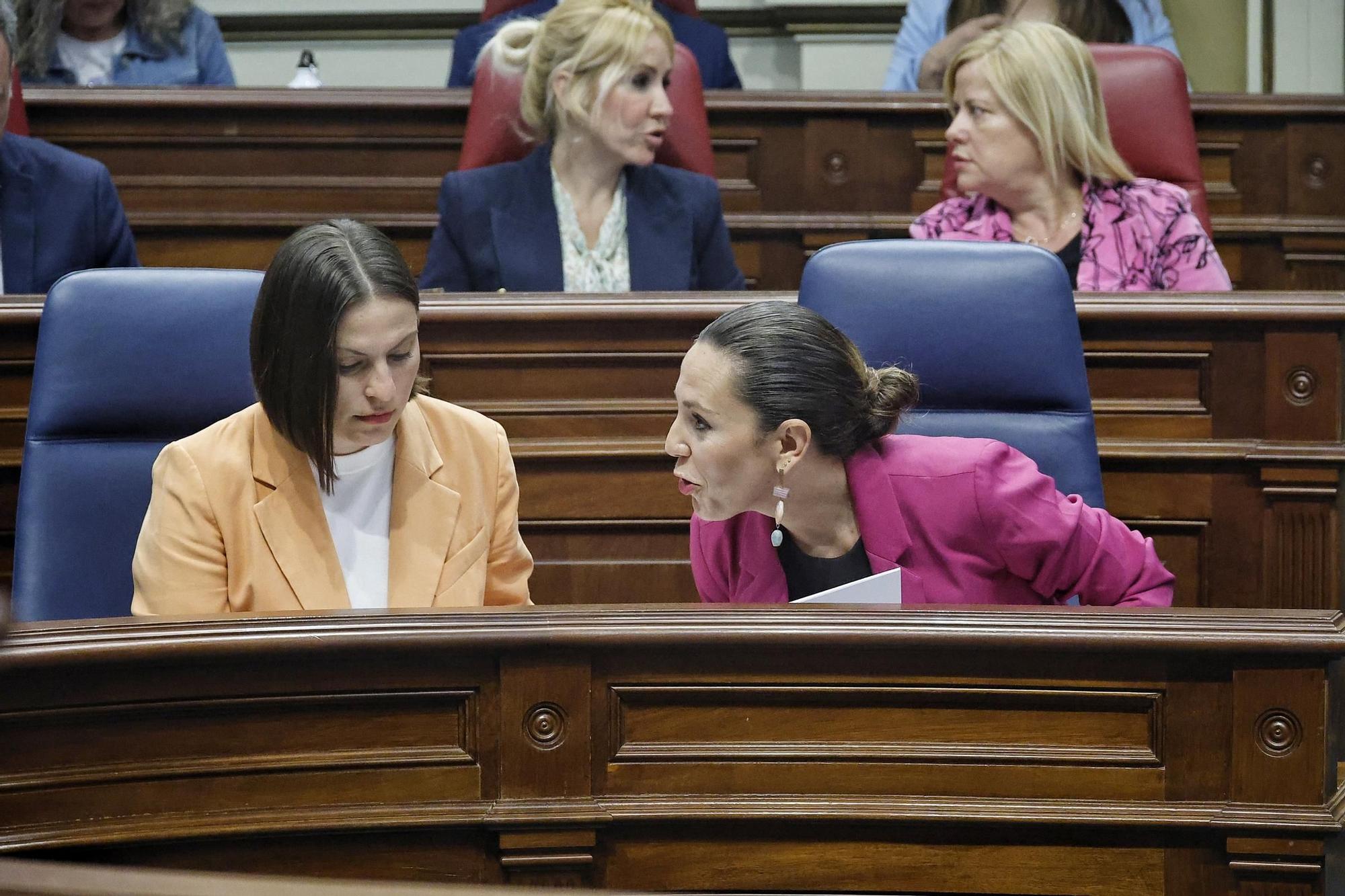 Pleno del Parlamento (08/04)