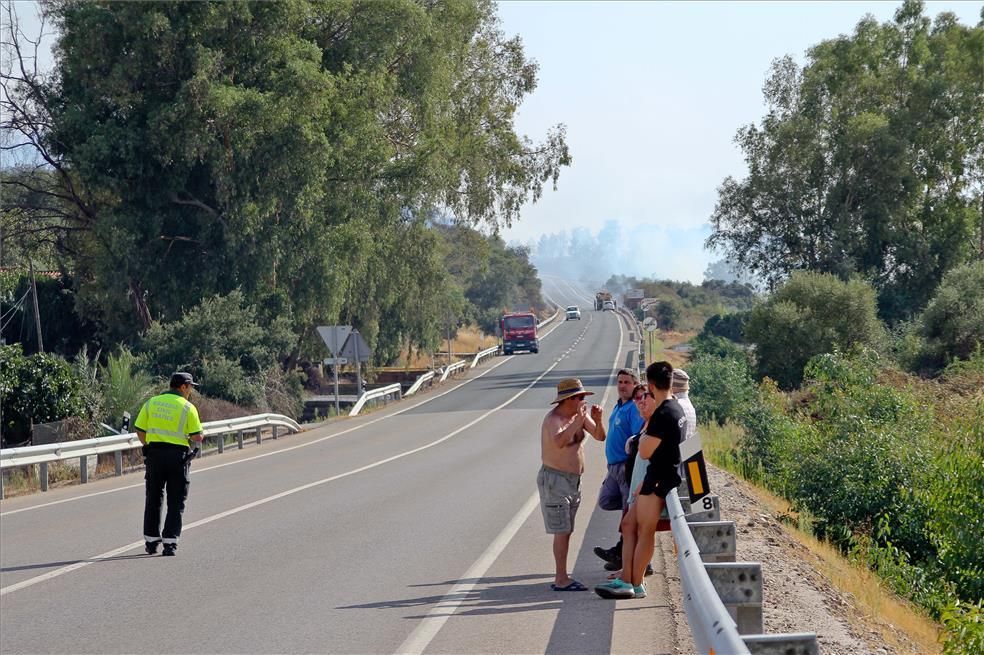 El incendio de ayer en Alcuéscar, en imágenes