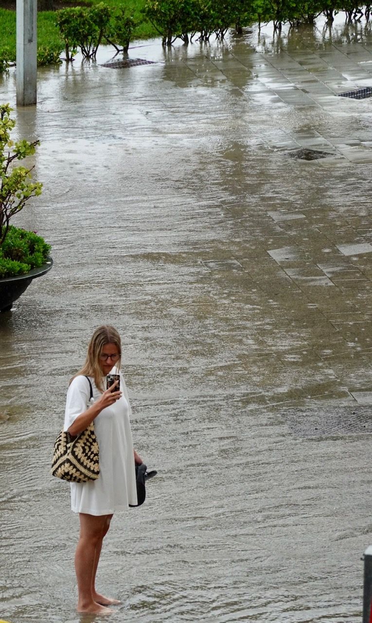 Una tormenta derriba una palmera y causa inundaciones en calles en Alcúdia