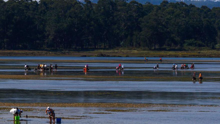 La Cofradía de Cambados y la mariscadora cesada del punto de control llegan a un acuerdo