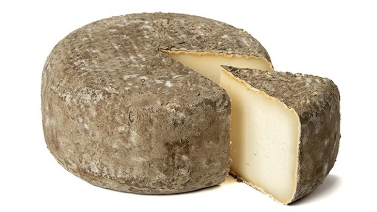 El queso semicurado de cabra Garrotxa elaborado por Muntanyola.