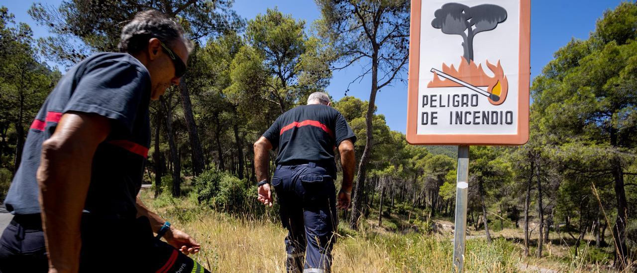 Bomberos del Consorcio vigilan por una zona de monte de la provincia.