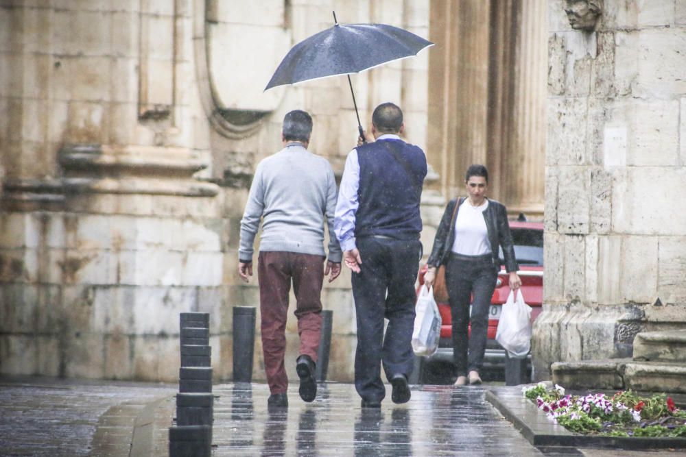 Las precipitaciones moderadas dejan hasta ocho litros por metro cuadrado en distintos puntos de la Vega Baja