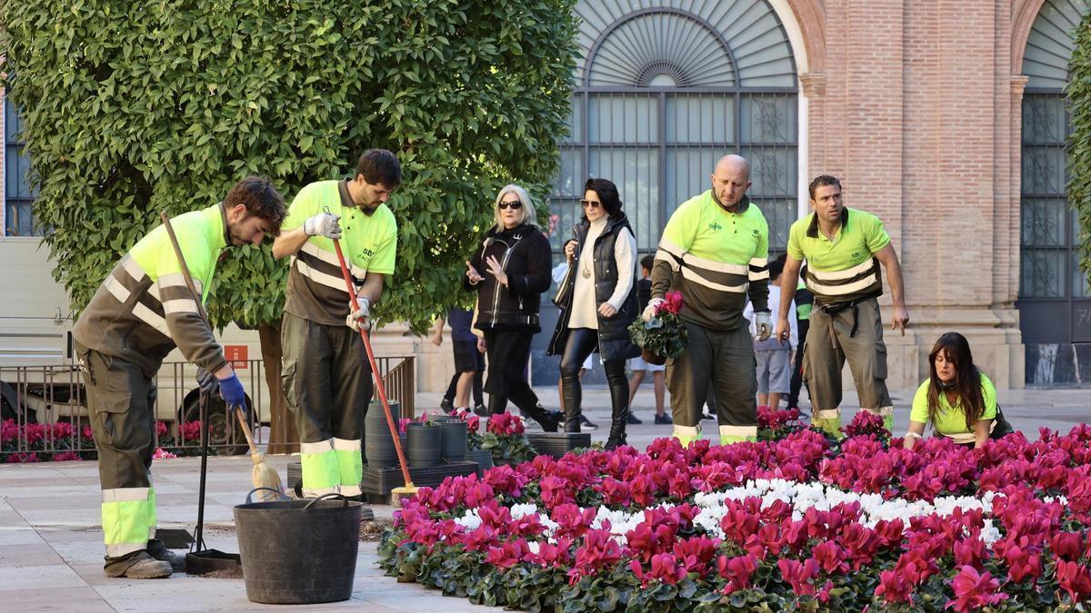 Operarios municipales plantan flores en Glorieta de España, frente al Ayuntamiento de Murcia.
