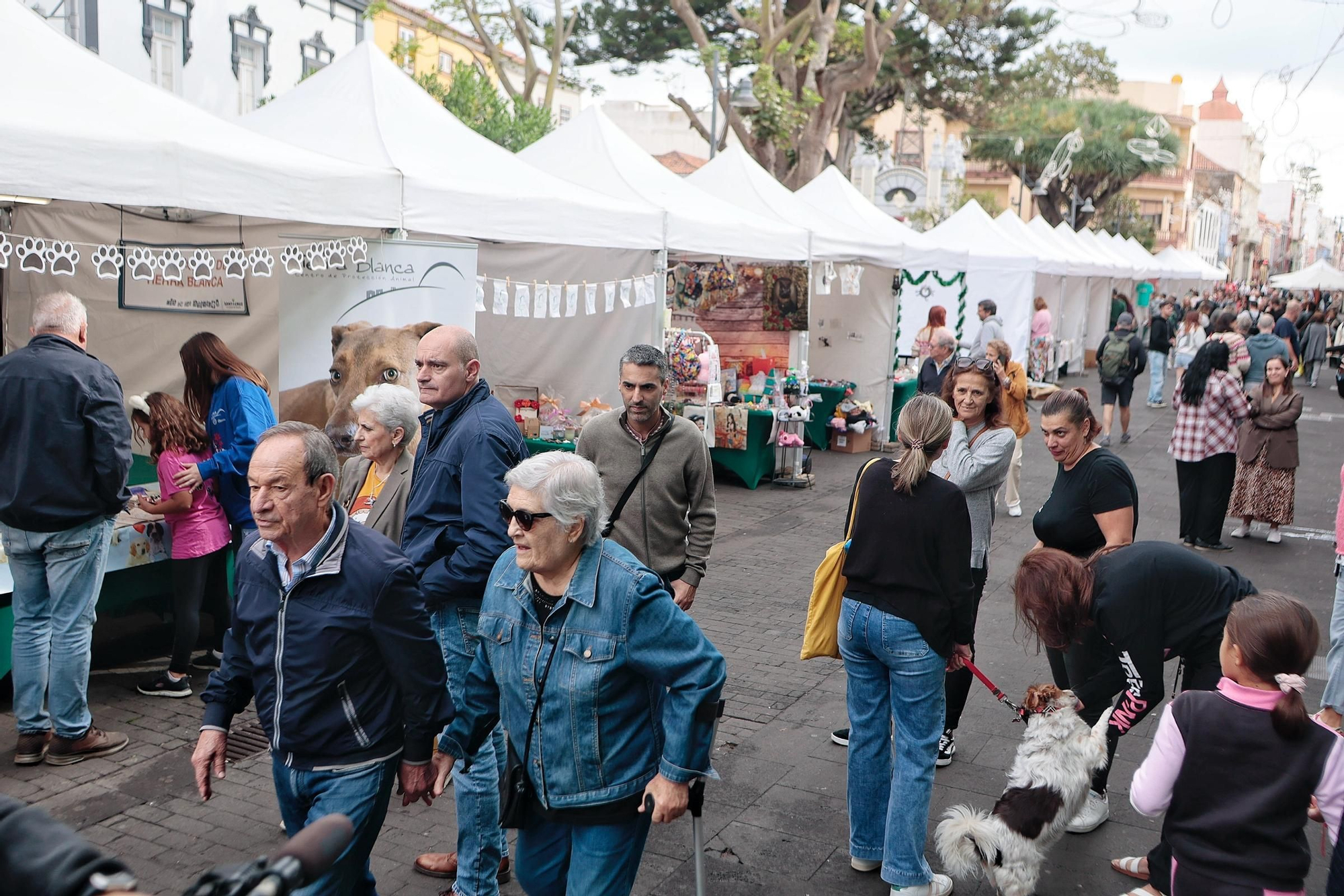 Feria de la Adopción Responsable de Animales de Compañía