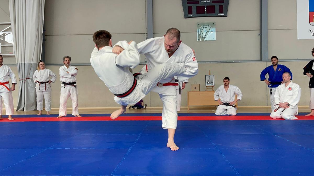 Un momento del seminaro de artes marciales celebrado en Llanera.