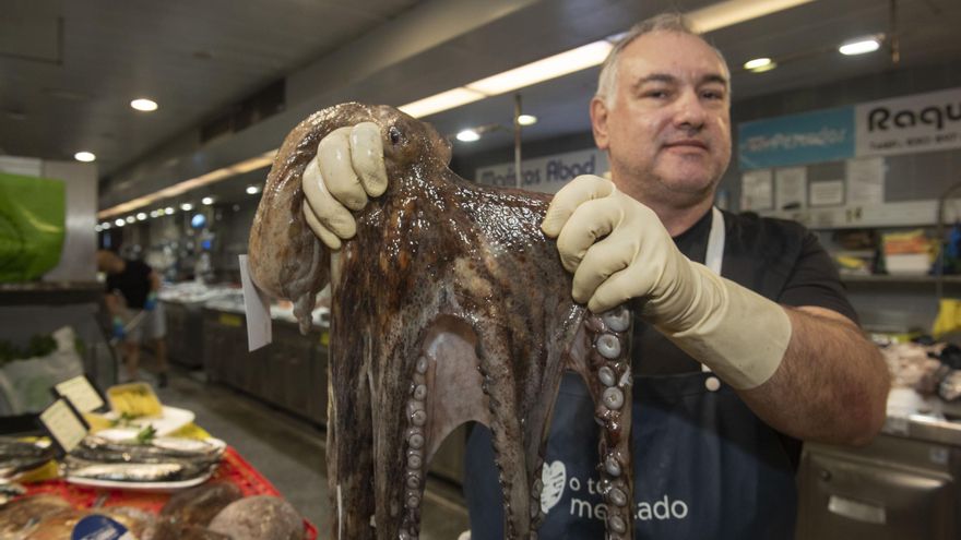 El pulpo gallego vuelve a los mercados de A Coruña tras tres meses de veda