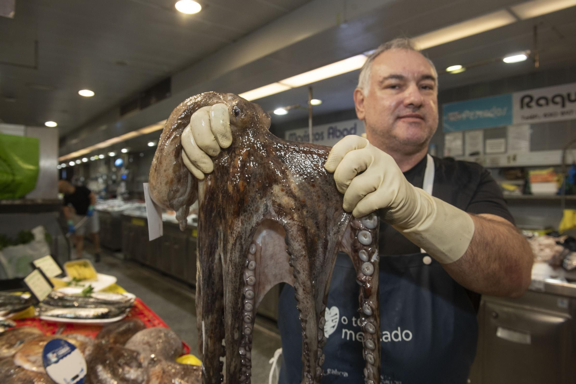 El pulpo gallego vuelve a los mercados de A Coruña tras tres meses de veda