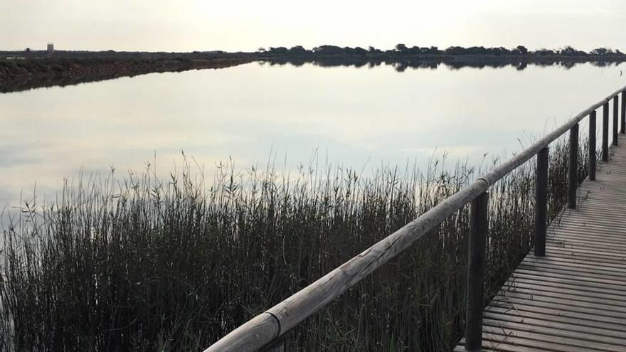 El PP pide medidas especiales para proteger el Parque de las Salinas