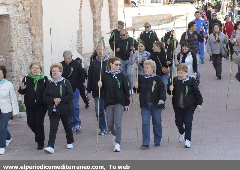 GALERÍA DE FOTOS - Romería Magdalena 2014 (2)