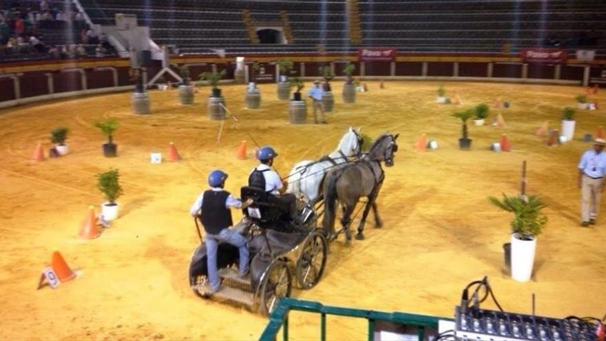 El concurso ‘indoor’ de enganche de caballos atraerá a los mejores a Almendralejo