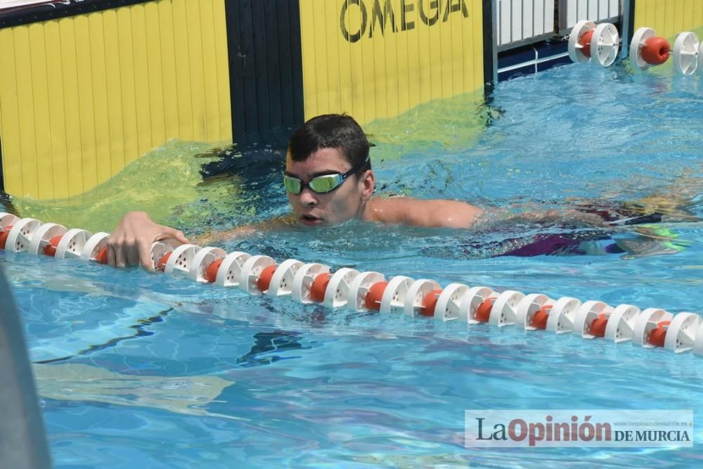 Final del Campeonato regional de natación.