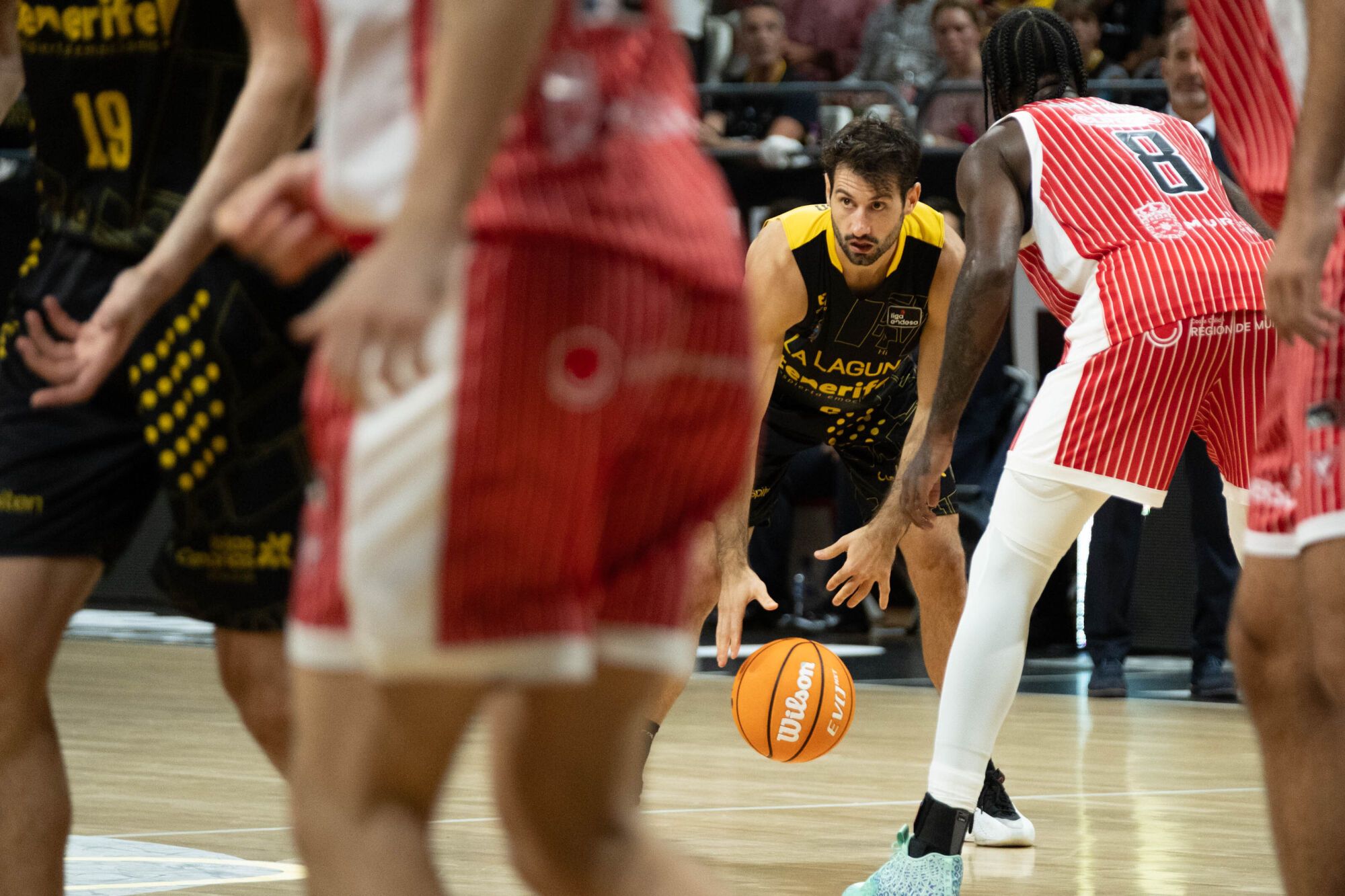 Baloncesto: La Laguna Tenerife CB Canarias - UCAM Murcia